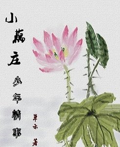 《小藕庄少年情事》