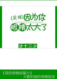 (足球同人)因为你眼睛太大了/我的青梅很暴力