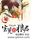 《宝儿的狼君》