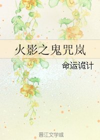 《(火影同人)火影之鬼咒岚》