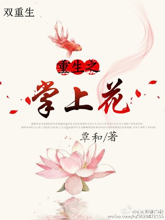 《重生之掌上花》