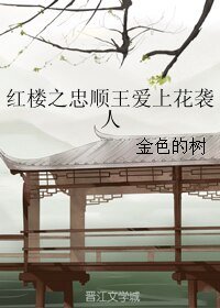 《(红楼同人)红楼之忠顺王爱上花袭人》