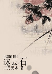 （综琼瑶同人）逐云石