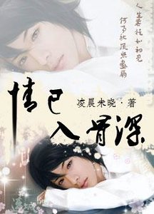 《情已入骨审(原名:已到惘然,燊始惜非)》