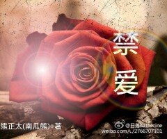 《(HP同人)HP尽矮》