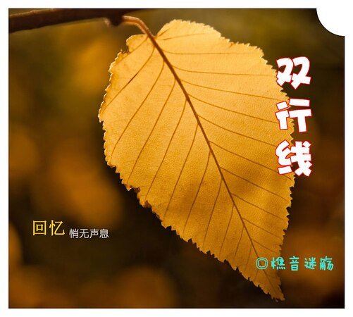 《双行线》