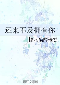 《还来不及拥有你》