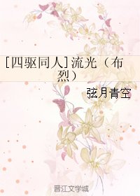 （四驱同人）[四驱同人]流光（布烈）