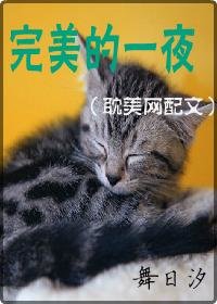 《完美的一夜》