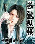 苏张纵横