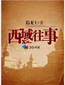 《西域往事》
