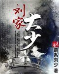 《刘家大少》