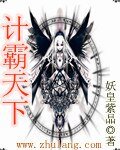 《计霸天下》