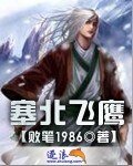 《塞北飞鹰》