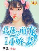 《闪婚:总裁萌宠小娇妻》