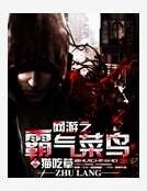 《网游之霸气菜鸟》