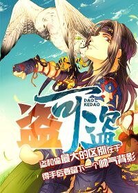 盗可盗
