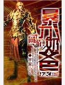 《网游之暴力奶爸》