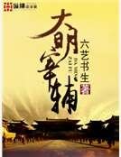 大明宰辅