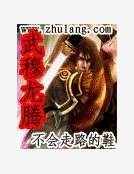 《武穆龙腾》