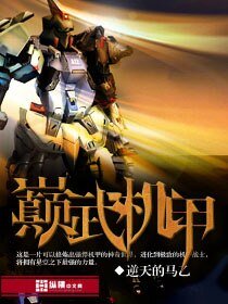 巅武机甲