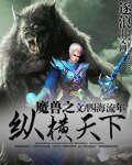 《魔兽之纵横天下》