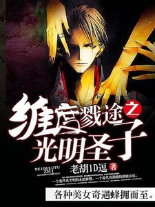 《维度戮途之光明圣子》