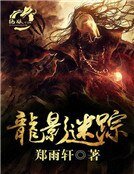《龙影迷踪》