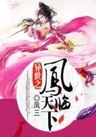 《异世之凤临天下》