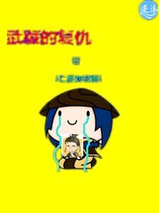 《武藏的复仇》