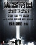 《黑客帝国之惊鸿之战》