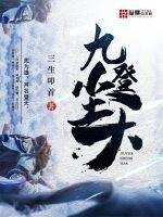 《九尘登天》