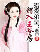 猎爱弟皇：错入王爷房