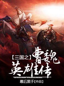 《三国之曹魏英雄传》