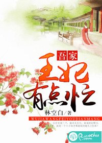 《吾家王妃有点忙》
