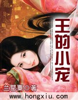 《王的小宠》