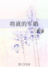 《将就的军婚》