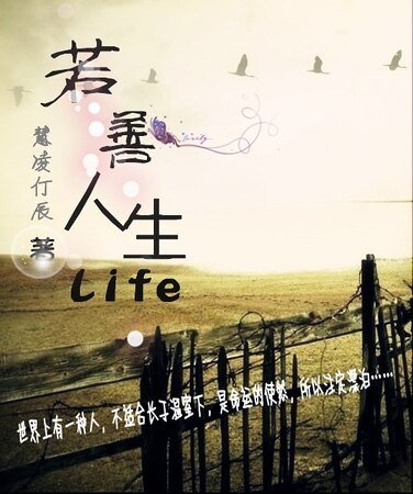 若善人生