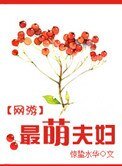 《网游之最萌夫妇》