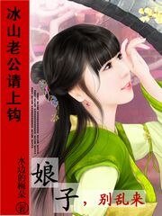 《冰山老公请上钩:娘子,别乱来》