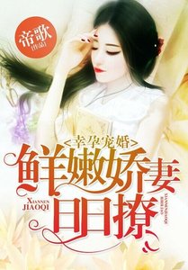 《宠婚VIP:玦爷娶一送三》