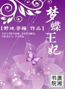 《梦蝶王妃》