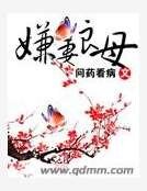 《嫌妻良母》