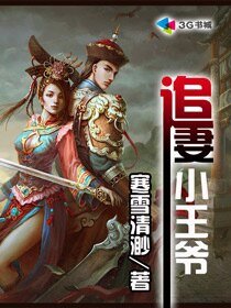 追妻小王爷