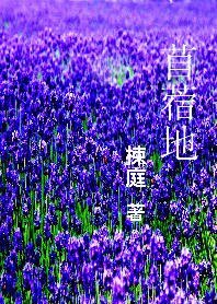 《苜蓿地》