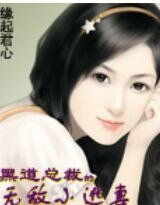 《黑道总裁的无敌小逃妻》