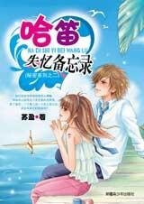《最爱她的人:哈笛失忆备忘录》