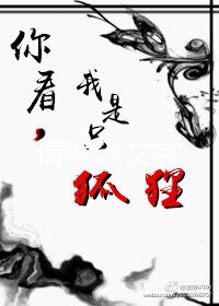 《你看,我是只狐狸》