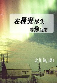 《在极光尽头等你回来》