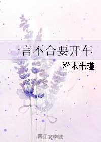 《一言不合要开车》